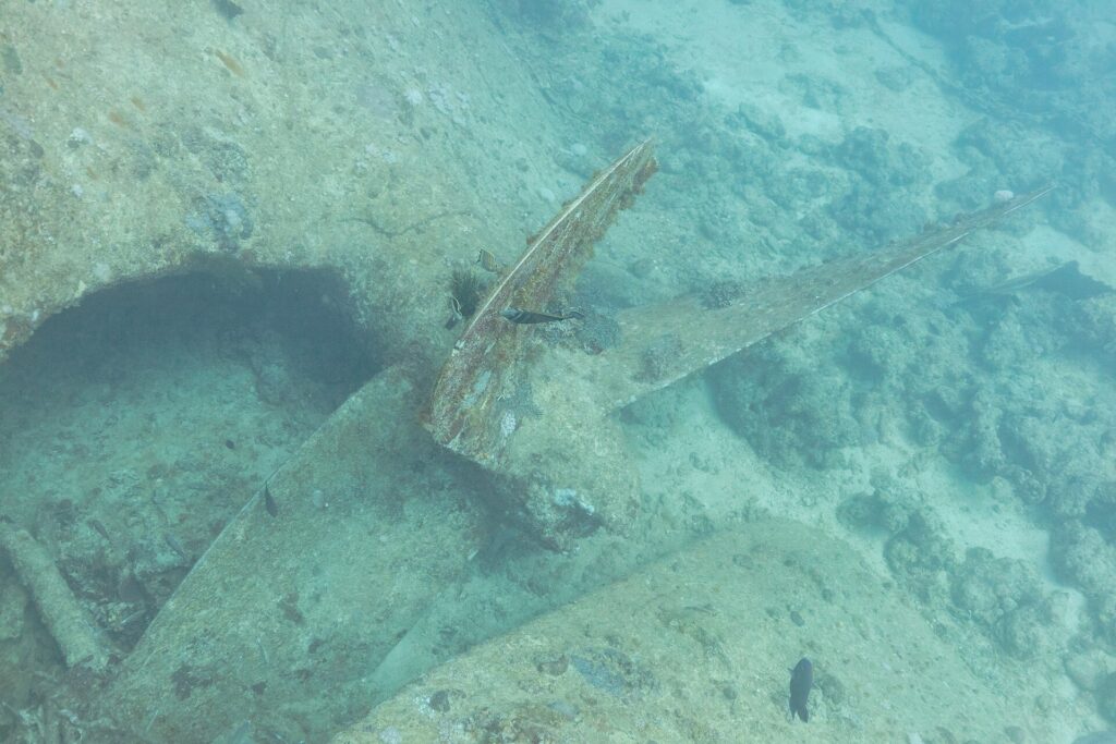 Ett propellerblad från Thistlegorm, täckt av påväxt, på sanden bredvid skrovet
