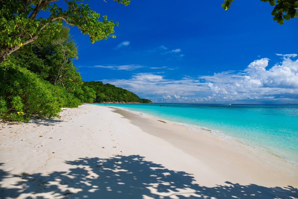 Den vita sandstranden på Koh Tachai kantad av träd under blå himmel, med turkost vatten till höger och en rad bojar längre ut