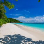 Den vita sandstranden på Koh Tachai kantad av träd under blå himmel, med turkost vatten till höger och en rad bojar längre ut