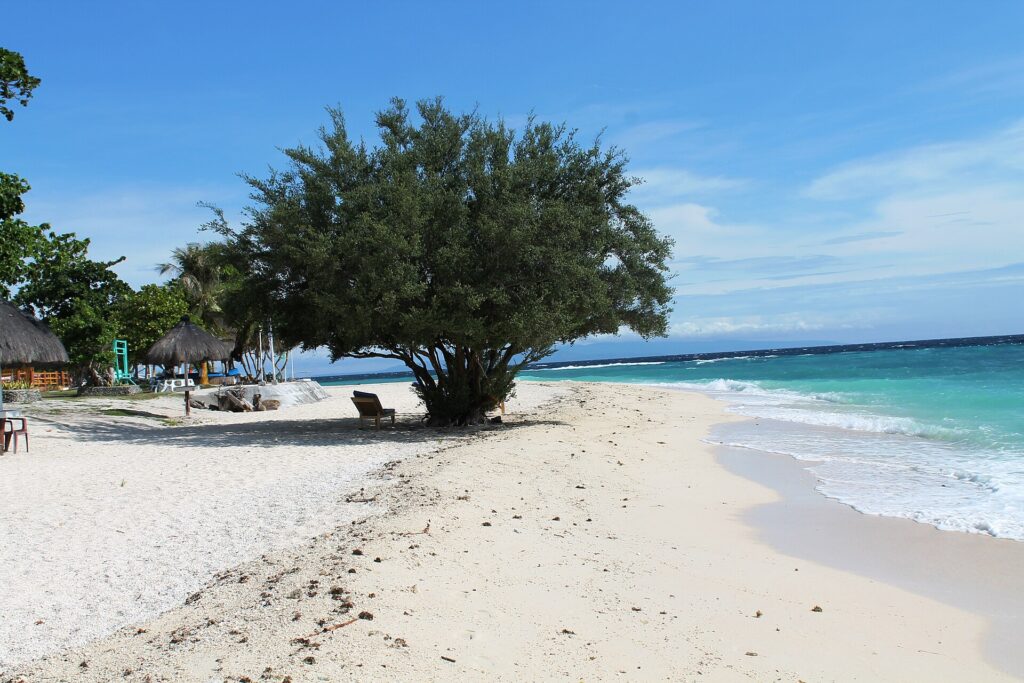 En vit sandstrand där ett stort lummigt träd ger skugga åt en solstol, med halmtäckta hyddor till vänster och det turkosa havet som sakta bryter till höger, under en blå himmel.