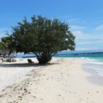 En vit sandstrand där ett stort lummigt träd ger skugga åt en solstol, med halmtäckta hyddor till vänster och det turkosa havet som sakta bryter till höger, under en blå himmel.