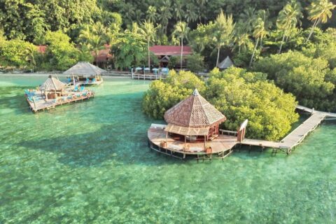 Flygbild över Raja Ampat Dive Lodge, med bryggor på pålar och röda tak under palmerna