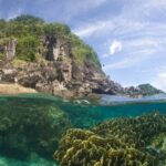 Halvt över, halvt under ytan: under vattnet ett stort gulgrönt block av bladkorall i klart turkost vatten, ovanför en kust av mörka klippor täckt av grönska under en disig blå himmel.