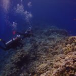 Två dykare följer ytterväggen vid Blue Hole, täckt av hårda koraller och anthias, med det djupblå till vänster