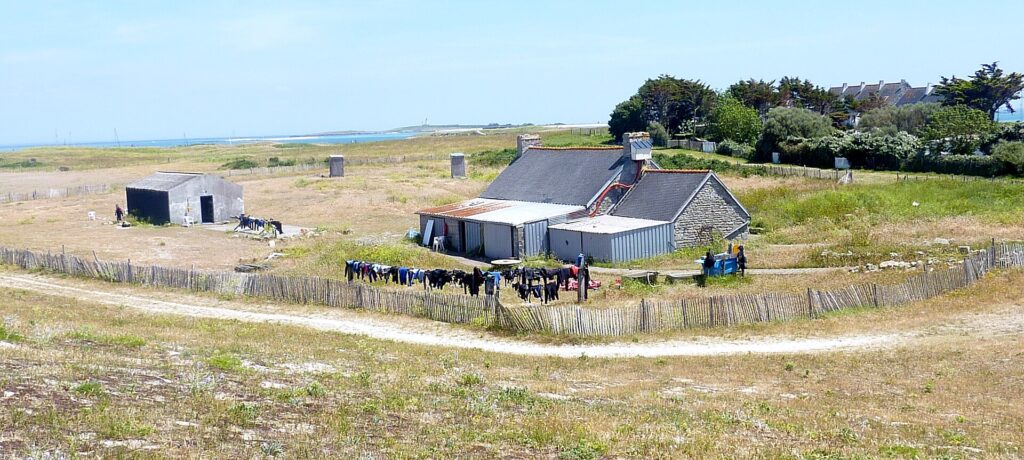 Ett långt stenhus med skiffertak och tillbyggnader i plåt, framför vilket en lång rad dykdräkter torkar på ett staket av kastanjeribbor, mitt i en låg hed, med havet och en fyr långt borta.